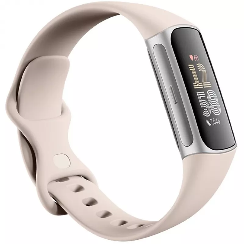 Fitbit GA05185-EU Product Silver