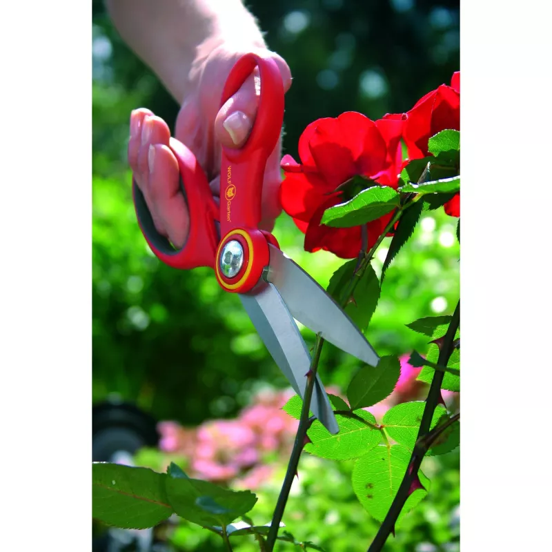 Lawn Rake WOLF-Garten RA-X 7216.000