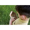 Set I'M A Genius - Bee Laboratory