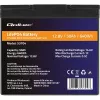 LiFePO4 battery QOLTEC 12.8V 50Ah (model 53704) for backup and energy storage