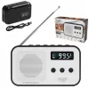 Portable digital radio Adler AD 1907 — AM/FM, digital tuner, alarm, USB-C, 600 mAh battery, LCD, 20 presets, telescopic antenna