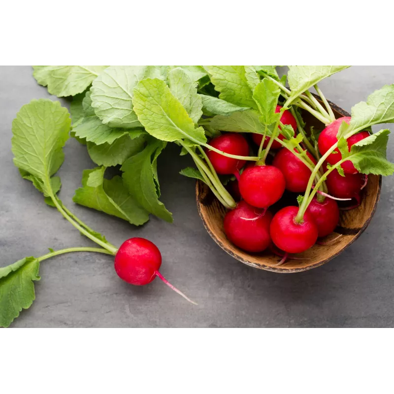 Saxa 3 Radish Seeds, 10g Vegetable Seed Pack