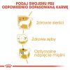 Dry Dog Food Royal Canin Poodle Adult 1.5 kg — Chicken, 30% Protein, 19% Fat