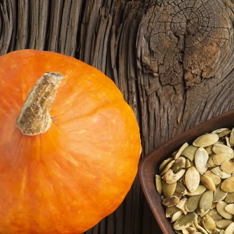 Seeds — Apte Dynia Olbrzymia Dolores (giant pumpkin) seeds, packet 5 g