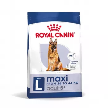 Dry dog food Royal Canin Maxi Adult 5+ 15 kg — chicken, Protein 26%, Fat 17%