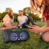Portable Speaker Kodak PWS-2248, Black