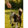 Dog toy ball ZOLUX TPR Outdoor, blue