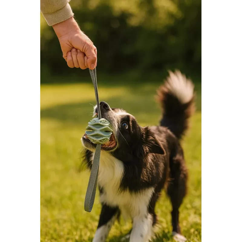 Dog toy ball ZOLUX TPR Outdoor, blue