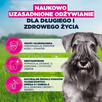 Dry dog food EUKANUBA Mature Small Chicken 3 kg — for adult small-breed dogs