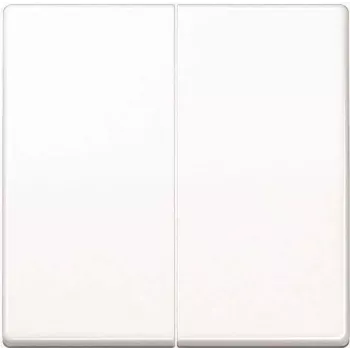 Jung control button 2-way Standard AS1702WW (AS1702WW)