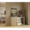 CHEST OF DRAWERS WITH 2 DOORS AND 3 DRAWERS, CASHMERE COLOUR