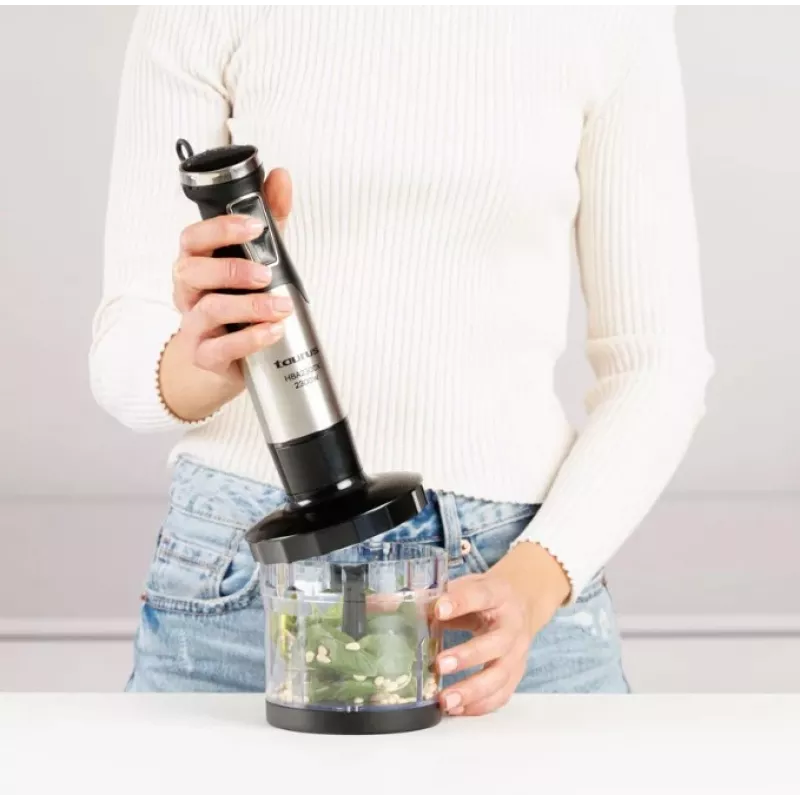 Hand Blender Taurus HBA2300X with Accessories, 2300 W