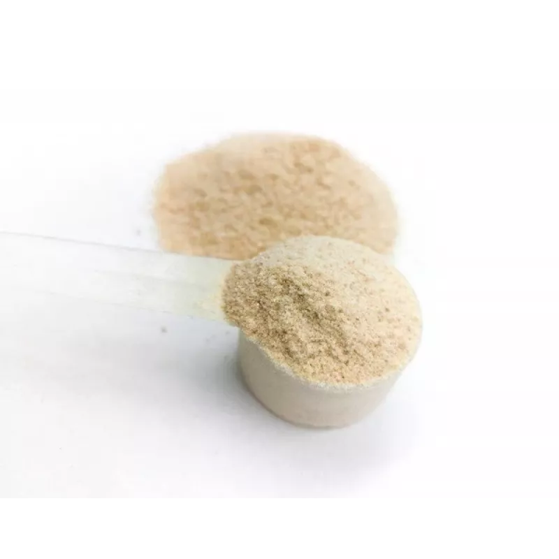 GAME DOG AniFlexi Fit V2 - supplements for dogs - 100 tablets