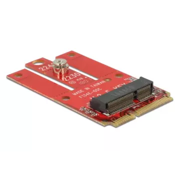 Internal M.2 Adapter DeLOCK 63909