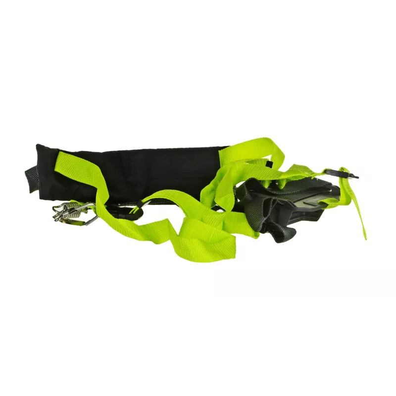 Electric Pole Saw 750W 25cm/oil accessories RYOBI