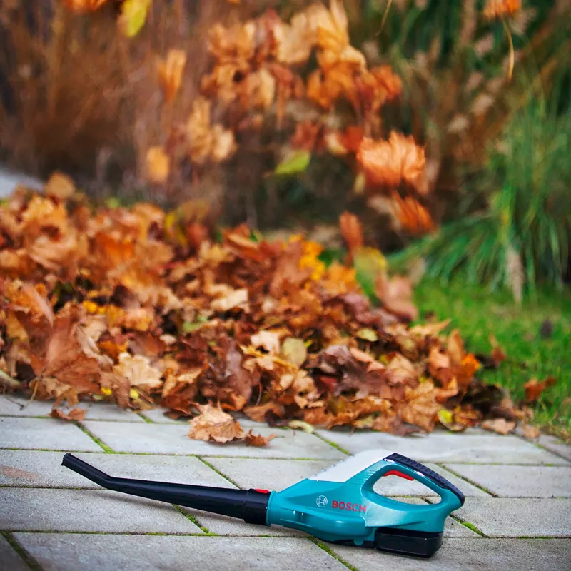 Leaf Blower Theo Klein Bosch 2776