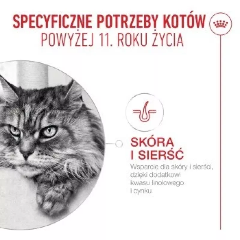 Wet cat food Royal Canin FHN Ageing 11+ Gravy 12×85 g – senior complete wet trays