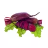 Seed tape — Apte beet (red) Opolski cylindrical, 6 m roll, ready-to-sow