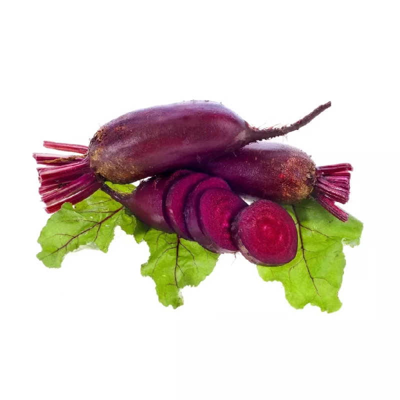 Seed tape — Apte beet (red) Opolski cylindrical, 6 m roll, ready-to-sow