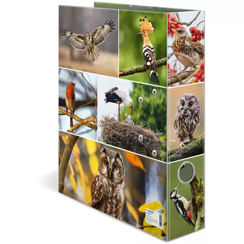 Ring binder HERMA 19254 A4 Multicolour D-ring Storage 285x315mm
