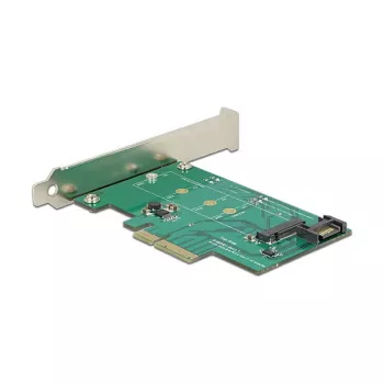 Interface Card DeLOCK 89381 Internal M.2 SATA