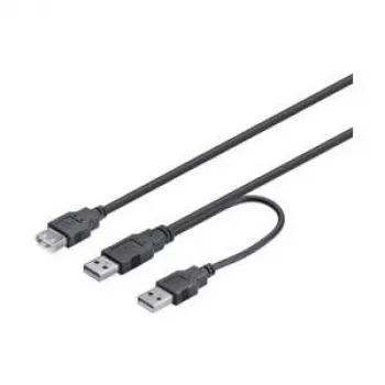 Wentronic Goobay USB 2.0 Hi-Speed Dual-Power Cable, Black, 0.3 m - USB 2.0-Plug (Type A) , USB 2.0-Plug (Type A) > USB 2.0-Socket (Type A) (93353)