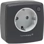 eQ-3 AG Homematic IP 161613A0, Indoor, Anthracite, Plastic, IP20, IP20, 70 mm