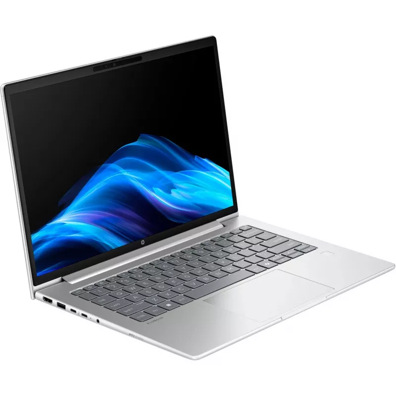 Probook 4 G1a (C07P4ES), Notebook Silver, AMD Ryzen 5 230, AMD Radeon 760M, 16 GB DDR5, 512 GB (512 GB SSD), Windows 11 Pro