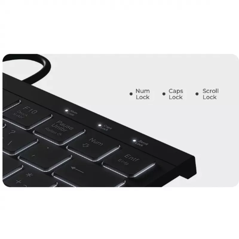 KeySonic KSK-5011ELC (DE) keyboard Home USB QWERTZ German Black