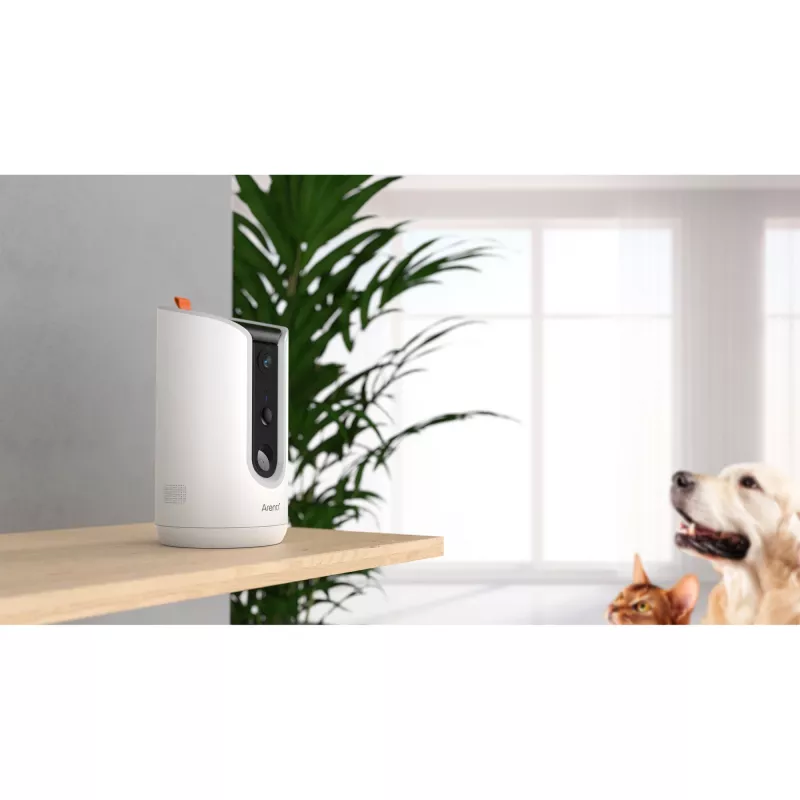 Arenti PETCAM1T Indoor WiFi Haustierkamera & Futterspender IP security camera Desk