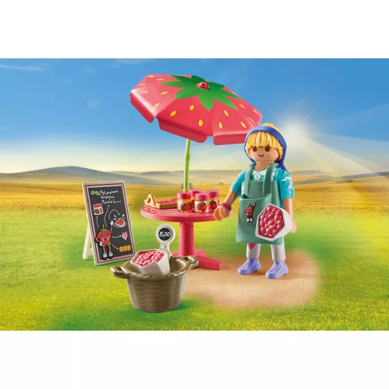 Playmobil Country Homemade Strawberry Jam Stall