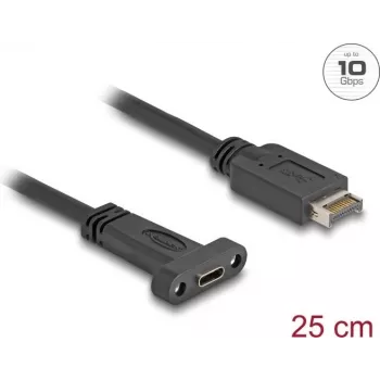 Delock 85454 - USB 3.1 E Key A 20 Pin Plug to C Socket installation 25 cm - Digital/Data - 0,25 m (85454)