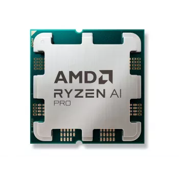 Processor AMD Ryzen 5 PRO 8600G 4.3 GHz 6 cores 16 MB L3 Socket AM5