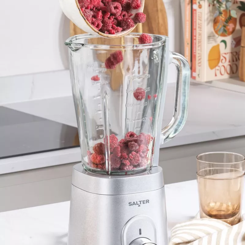 Blender Salter EK5531MMSVDE