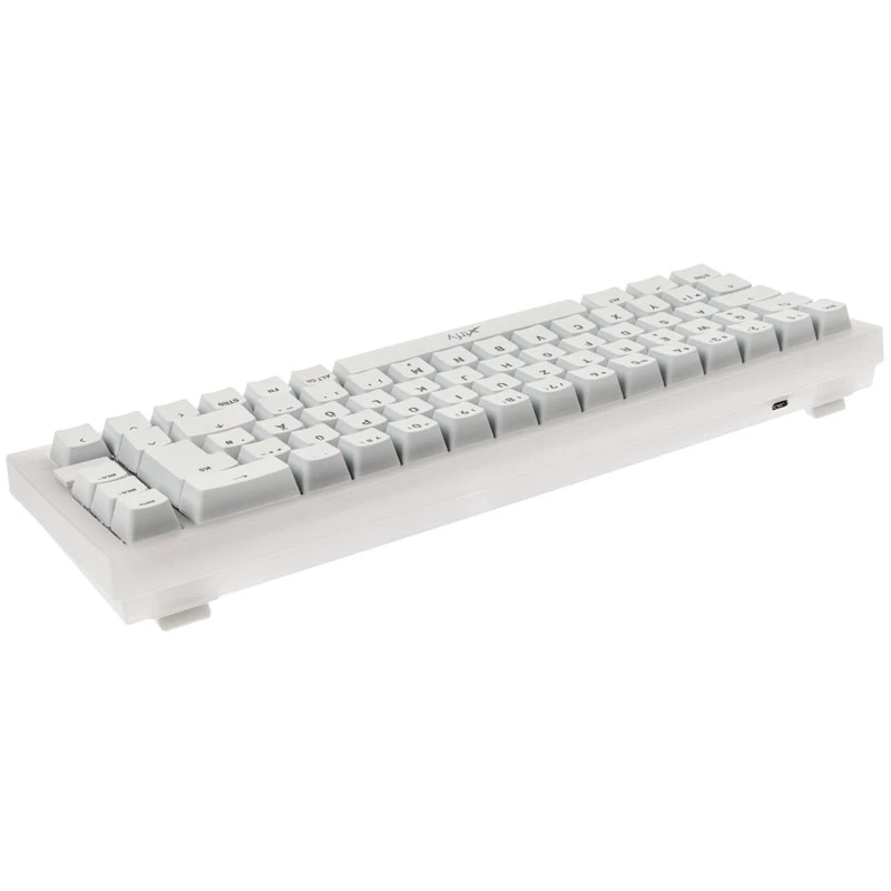 Mechanical TKL Gaming Keyboard XTRFY K5 RGB — tenkeyless, transparent/white