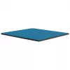 Thermal Grizzly Minus Pad Advance - 100 x 100 x 2.0 mm, 2 pieces
