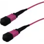 InfiniBand Fibre Optic Cable GRAFENTHAL GTOM4MPOUMPOU01000 10m MPO OFC Violet