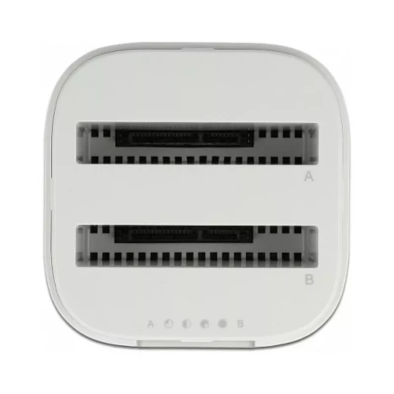 Docking Station DeLOCK USB Type-C™ 3.2 for 2 x 2.5 inch SATA HDD/SSD