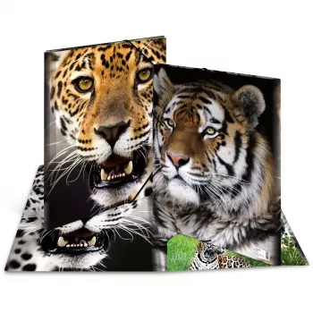 Folder Polypropylene (PP) HERMA 7142 A3 Multicolour