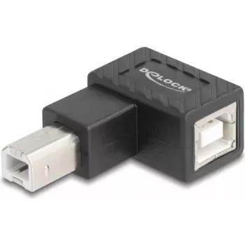 DeLOCK 67207 cable gender changer USB Type-B Black
