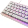 Mechanical TKL Gaming Keyboard XTRFY K5 RGB — tenkeyless, transparent/white