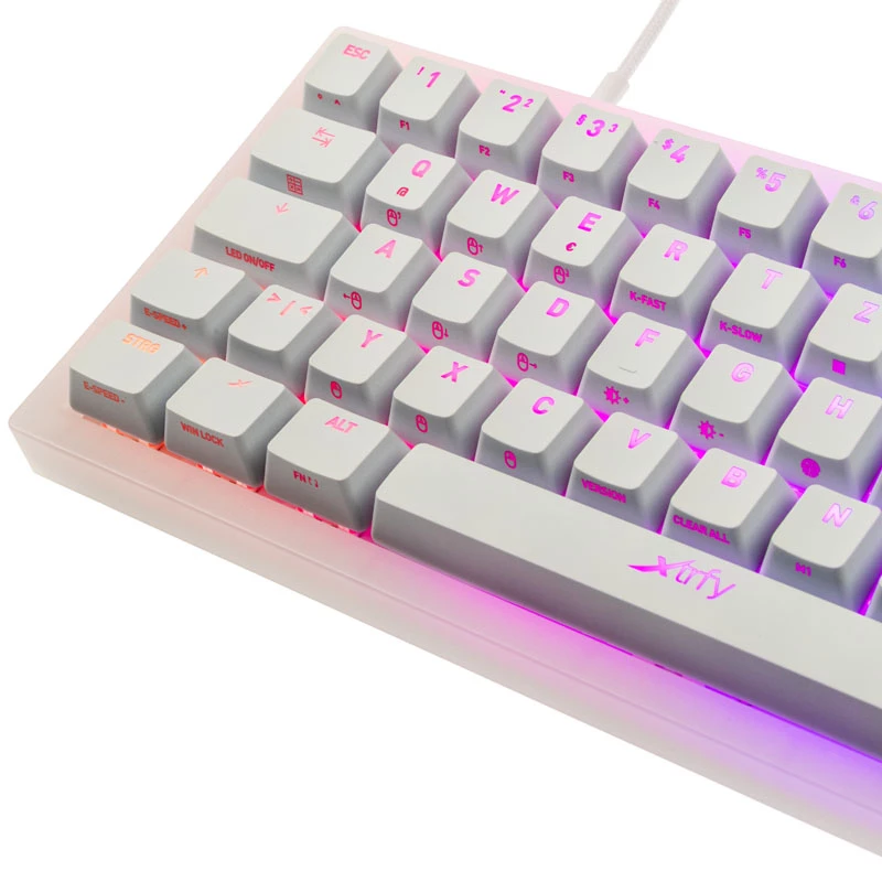 Mechanical TKL Gaming Keyboard XTRFY K5 RGB — tenkeyless, transparent/white