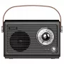 Portable Radio Savio RS-01 Analog Black