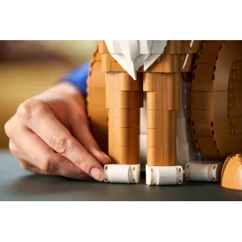 LEGO IDEAS 21376 Orange Cat