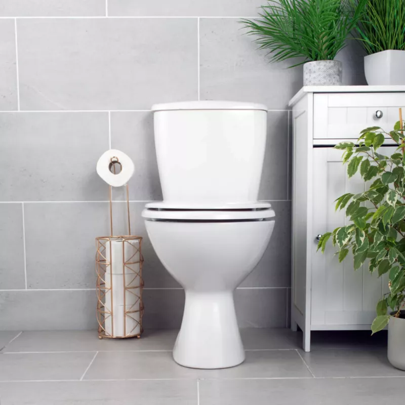 Toilet seat Beldray LA030252UFFEU7 — antibacterial, easy-clean design