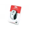 Wireless optical mouse Gembird MUSW-4B-02-BS, RF, ambidextrous, 1600 DPI, 4 buttons, silver/black