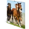 Folder HERMA 7140 Polypropylene (PP) Multicolour A4