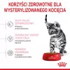 Royal Canin Kitten Sterilised dry cat food 3.5 kg Poultry
