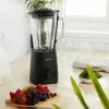 Blender Glass Jug Petra PT5531MBLKVDE Black