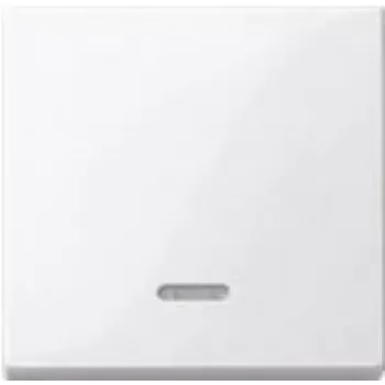 Merten 436025 Networking Device White